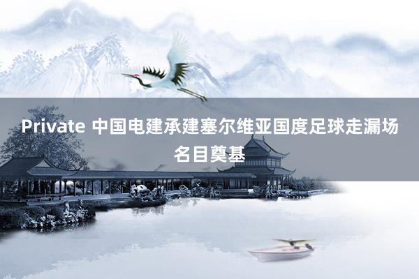 Private 中国电建承建塞尔维亚国度足球走漏场名目奠基