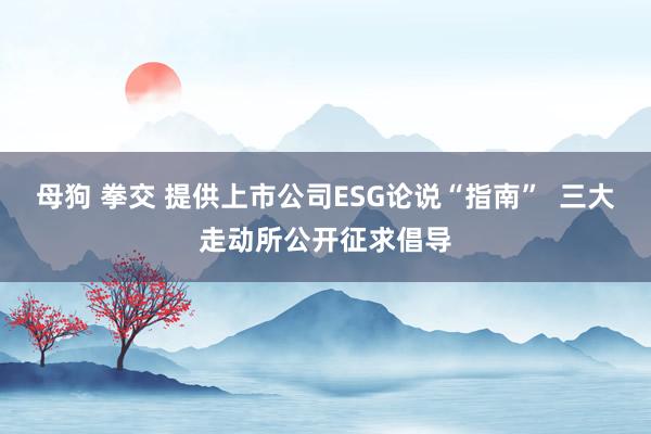 母狗 拳交 提供上市公司ESG论说“指南”  三大走动所公开征求倡导